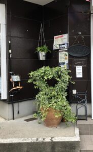 お店の入口の植物